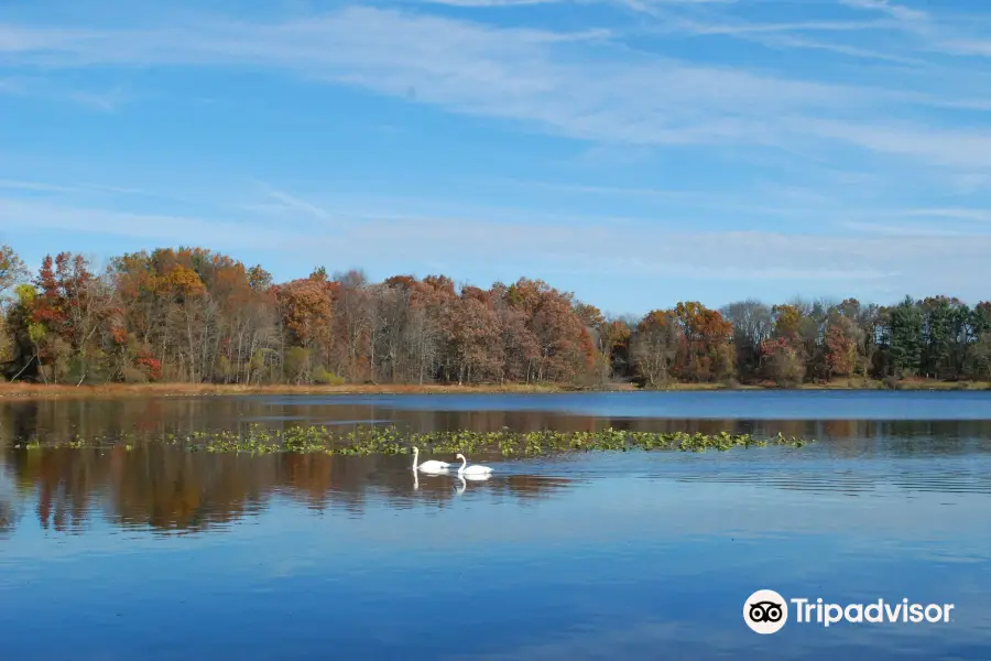 Kellogg Bird Sanctuary