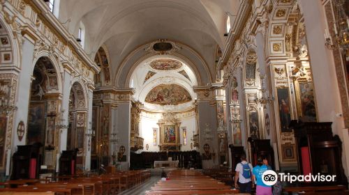 Cathedral Basilica of St. Venantius