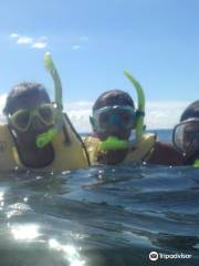 Rincon Diving & Snorkeling
