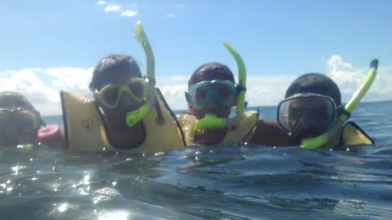 Rincon Diving & Snorkeling