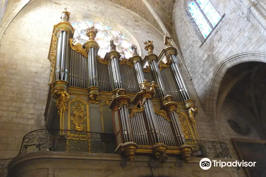 Cathedrale Saint Fulcran