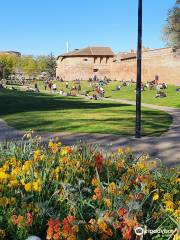 Raymond VI Garden