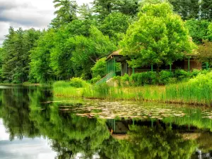 Livingston Park