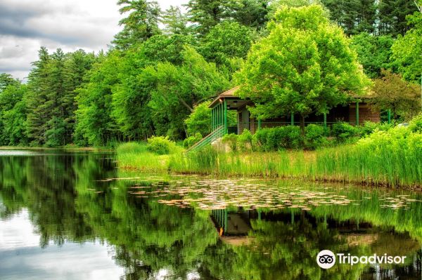 Livingston Park