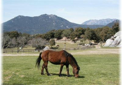 Parc Naturel d'Olva