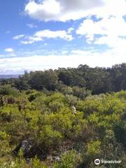 Arboretum Antonio Lussich