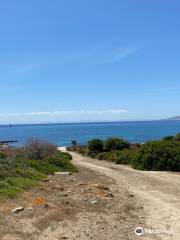 Windsurfing Center Stintino - Noleggio Biciclette Asinara