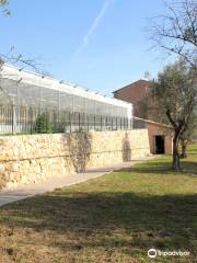 Bastide Aux Violettes (Musée)