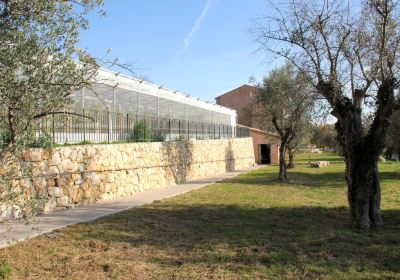 Bastide Aux Violettes