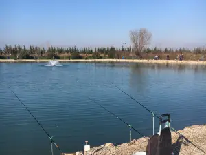 From Lake Mary