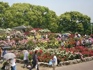 카요이쵸 공원