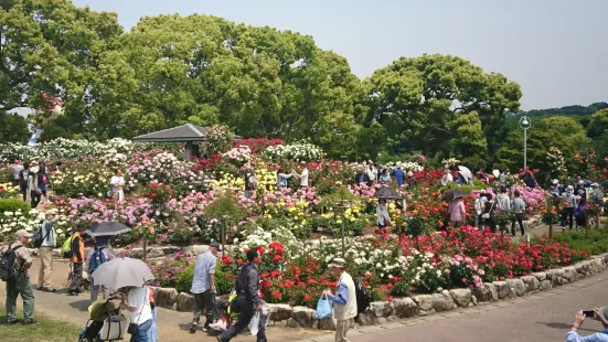 駕與丁公園