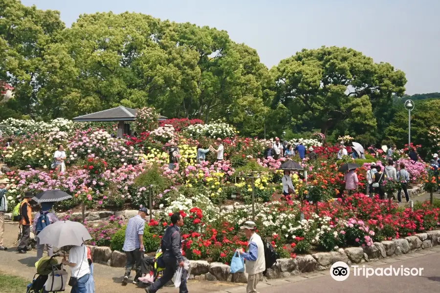 Kayoicho Park