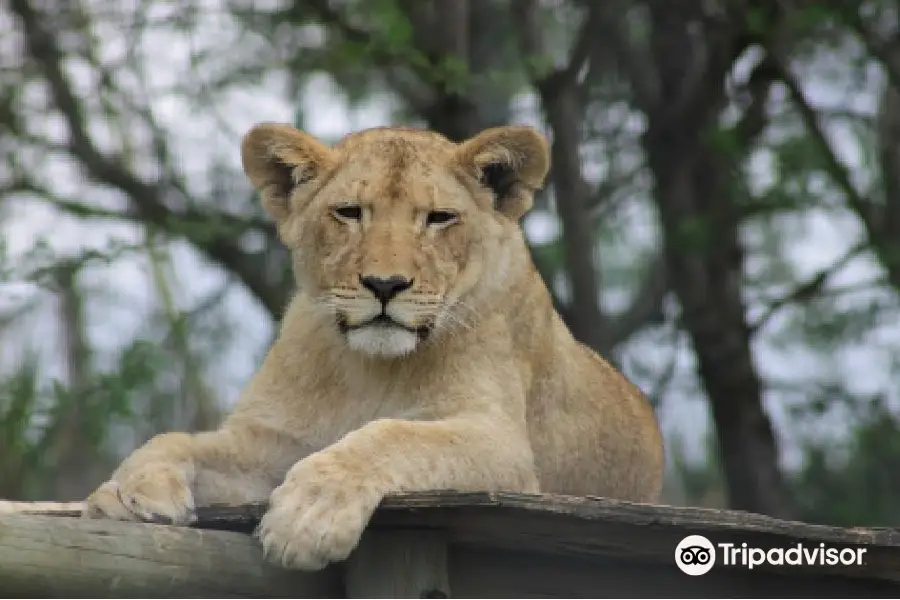 Natal Zoological Gardens