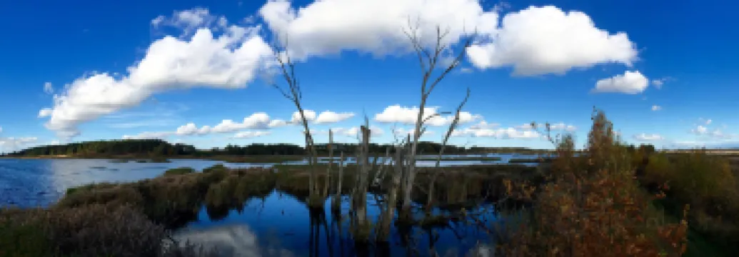 東前波美拉尼亞縣