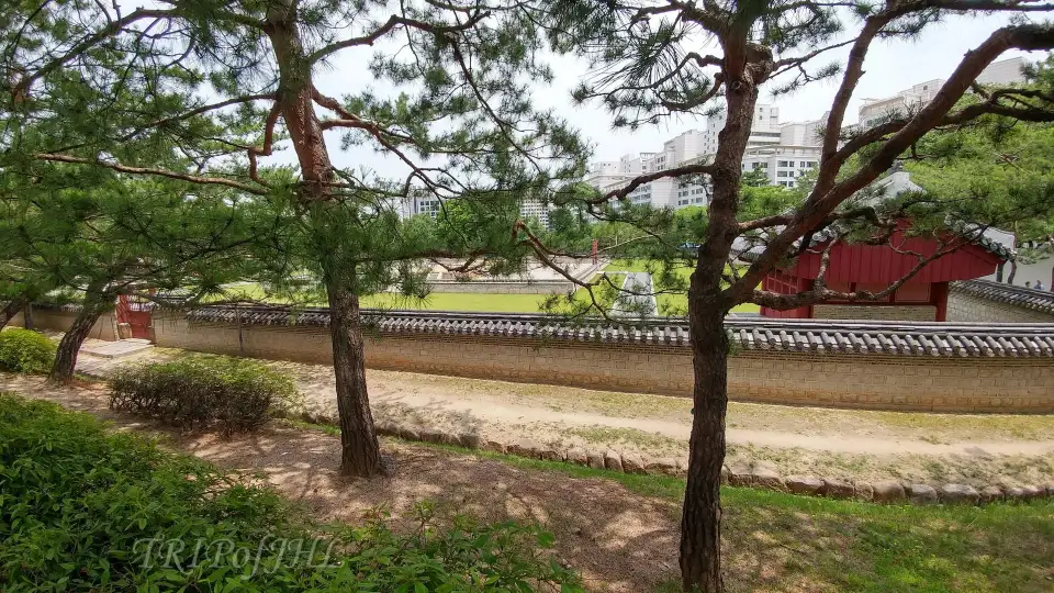 4_Sajik Park
