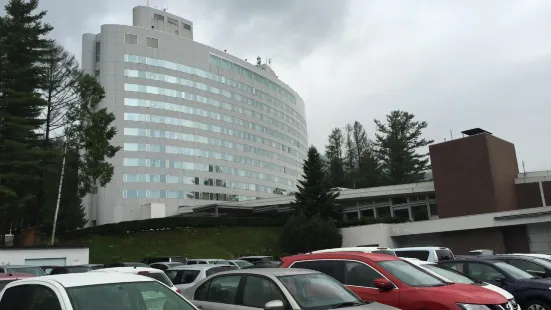 New Furano Prince Hotel Onsen