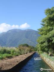 Chuying Bike Path