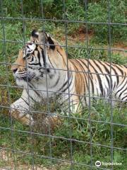 Wisconsin Big Cat Rescue