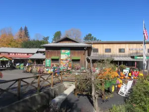 Fly Creek Cider Mill & Orchard