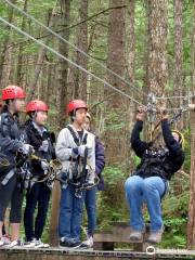 Alaska Canopy Adventures