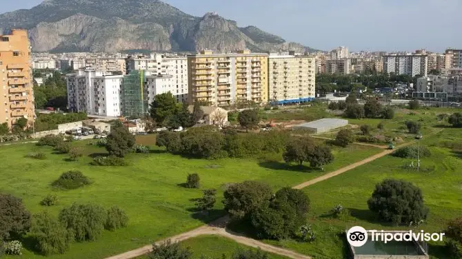 5_Parco uditore