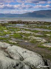 Velo-Coudres Enr