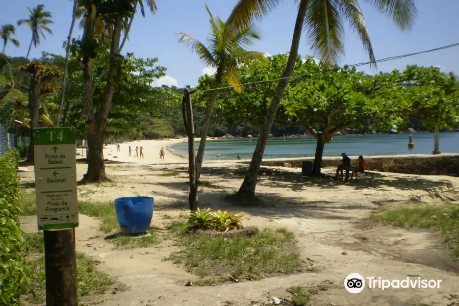 Parish of Santana Beach