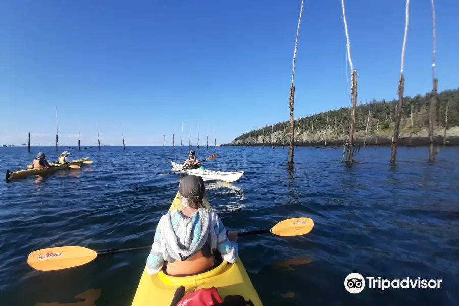 Adventure High Kayaking