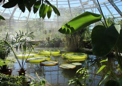 Jardín botánico de la Universidad de Upsala