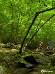 Umezawa Trail