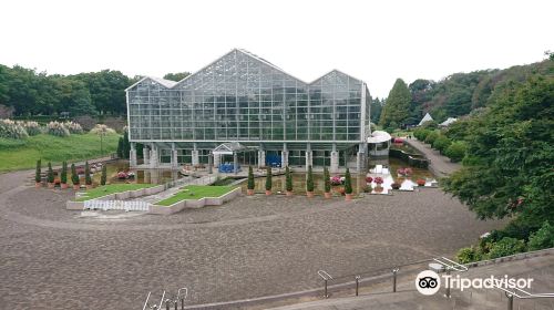 Sakata no Tane Green House