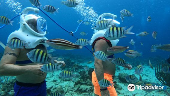 Sea Trek Curacao