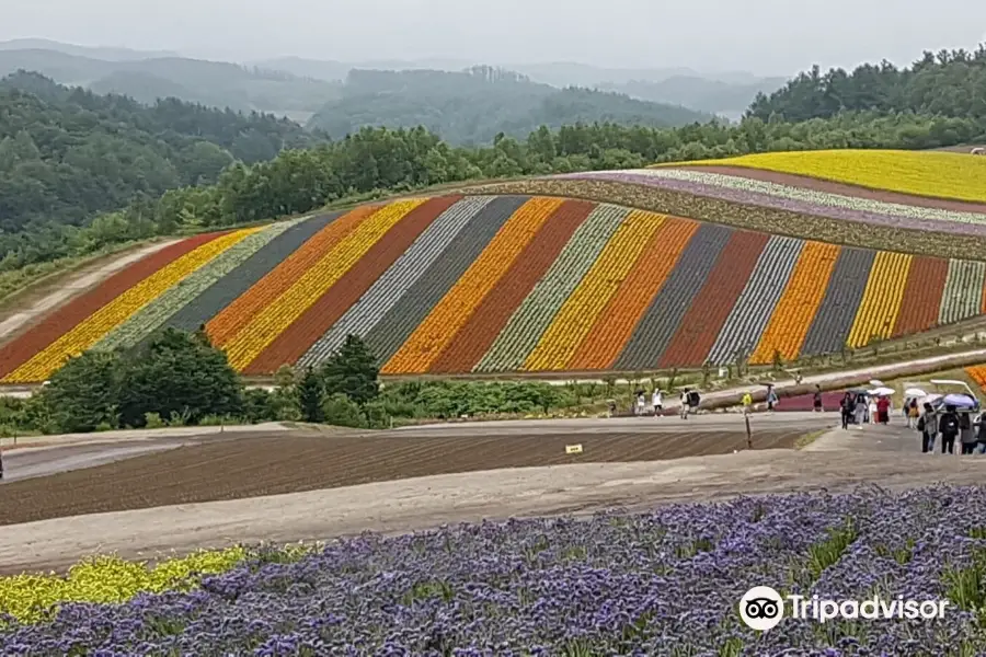 Yoshida Tomita Farm