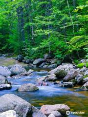 The Basin at Franconia Notch State Park