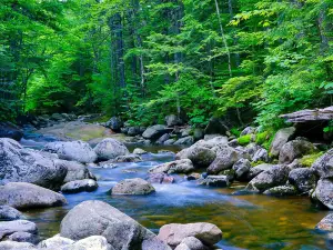 The Basin at Franconia Notch State Park