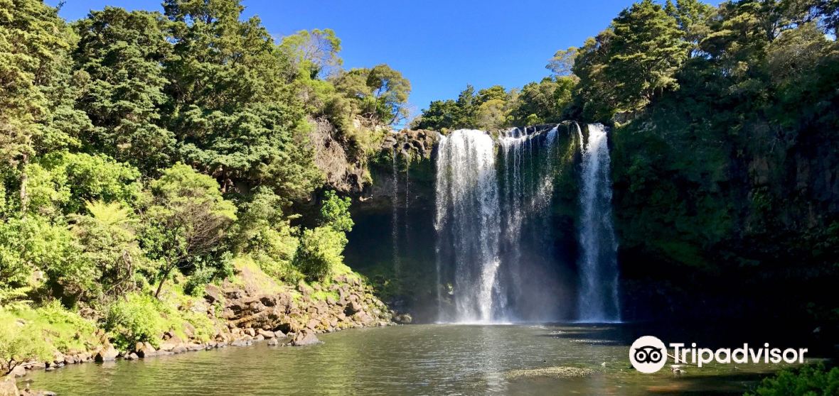 Kerikeri Travel Guide 2024 Things to Do, What To Eat & Tips