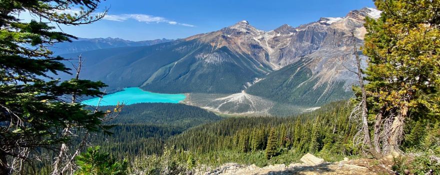 Burgess Shale Geoscience Foundation