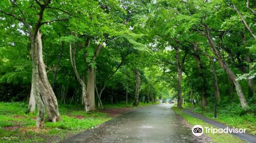 青葉公園