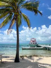 SeaStar Belize