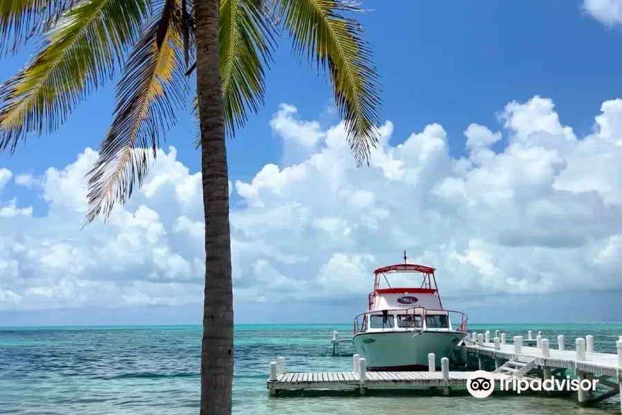 SeaStar Belize