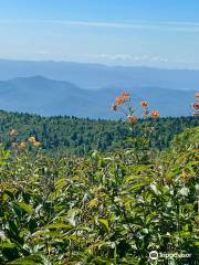 Black Balsam Knob