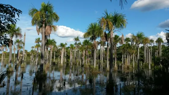 Lagoa das Araras