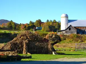 Hartshorn's Organic Farm Stand & Maple Sugar House