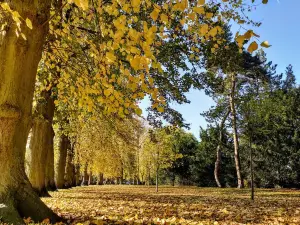 People’s Park