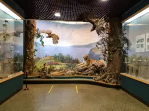 하바롭스크 영토 박물관
