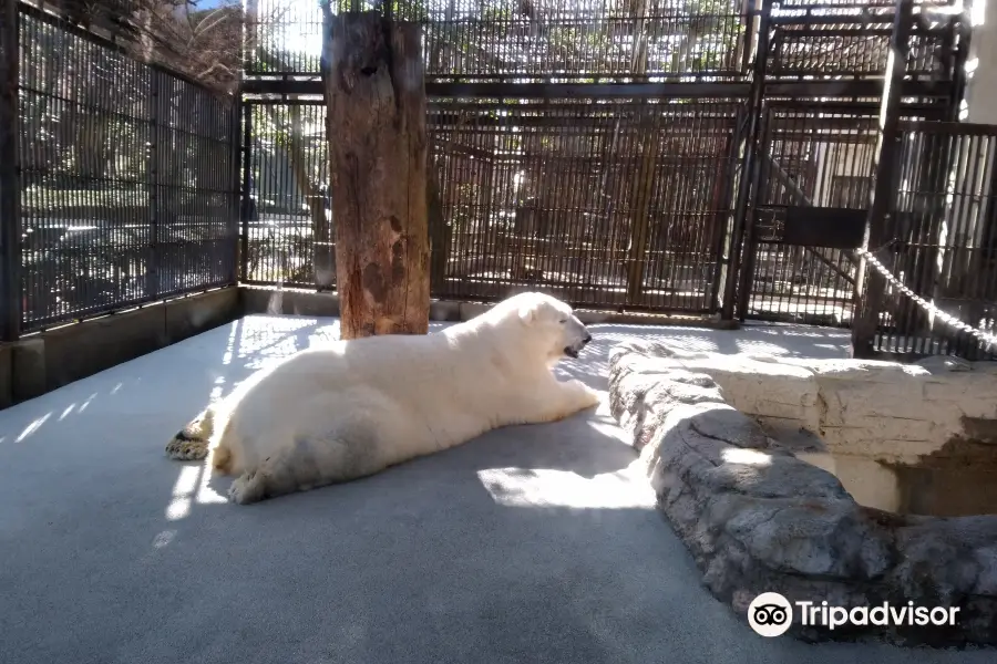 Tobe Zoological Park of Ehime Prefecture