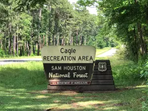 Sam Houston National Forest