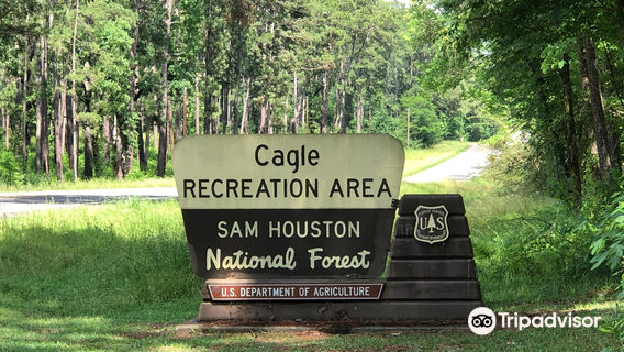 Forêt nationale Sam Houston