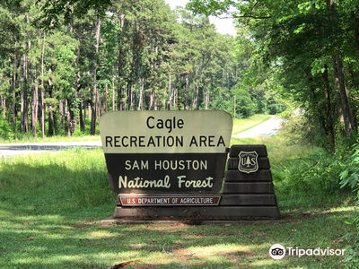 Sam Houston National Forest